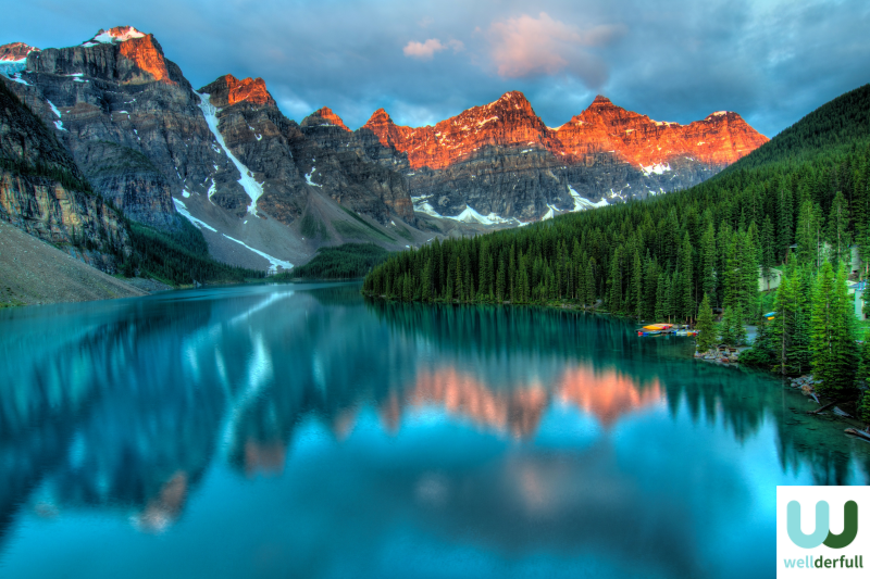 Why Choose Canadian Vitamin Companies?